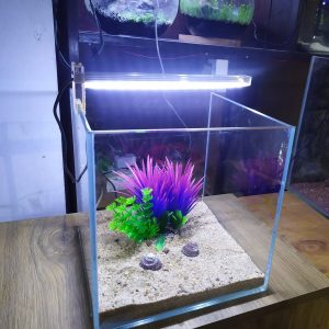 9 cube tank
