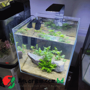 12 inch Cube Crystal Tank With Full setup