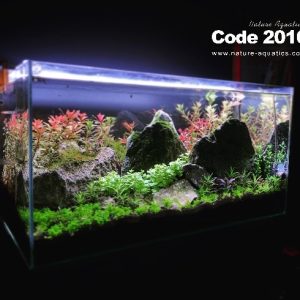24*12*12 5mm Crystal Glass Tank With Full Setup & Co2