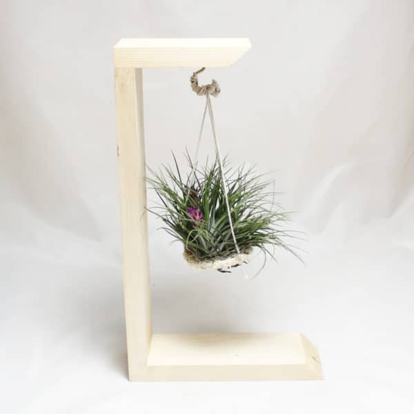 WOOD FRAME CODE WP-03