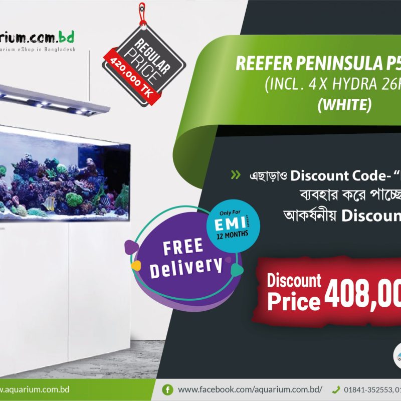 REEFER Peninsula P650 Deluxe (incl. 4 X Hydra 26HD LED) - White