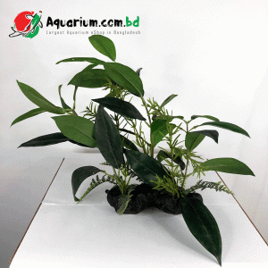 Artificial Plant