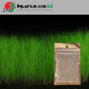 Aquarium Plant Seed