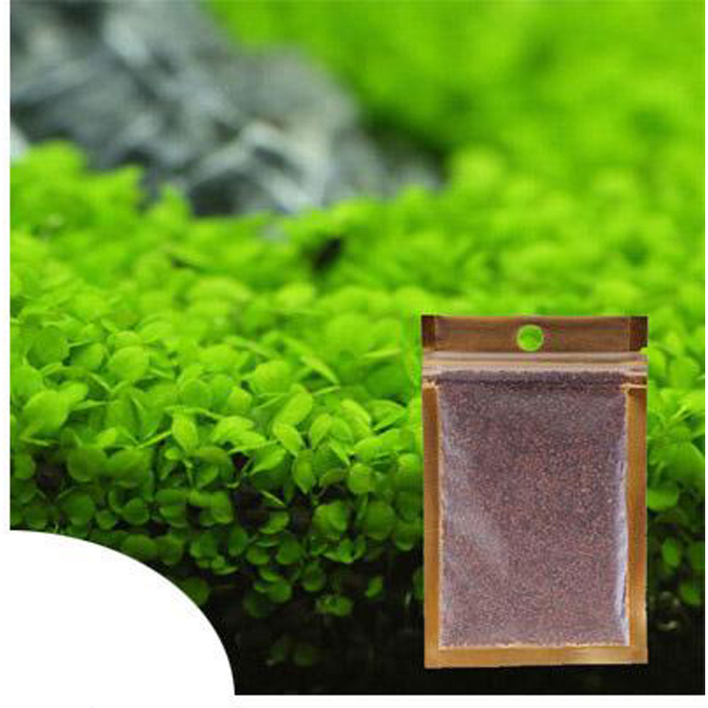 Aquarium Plant Seed- Big Leaf Grass