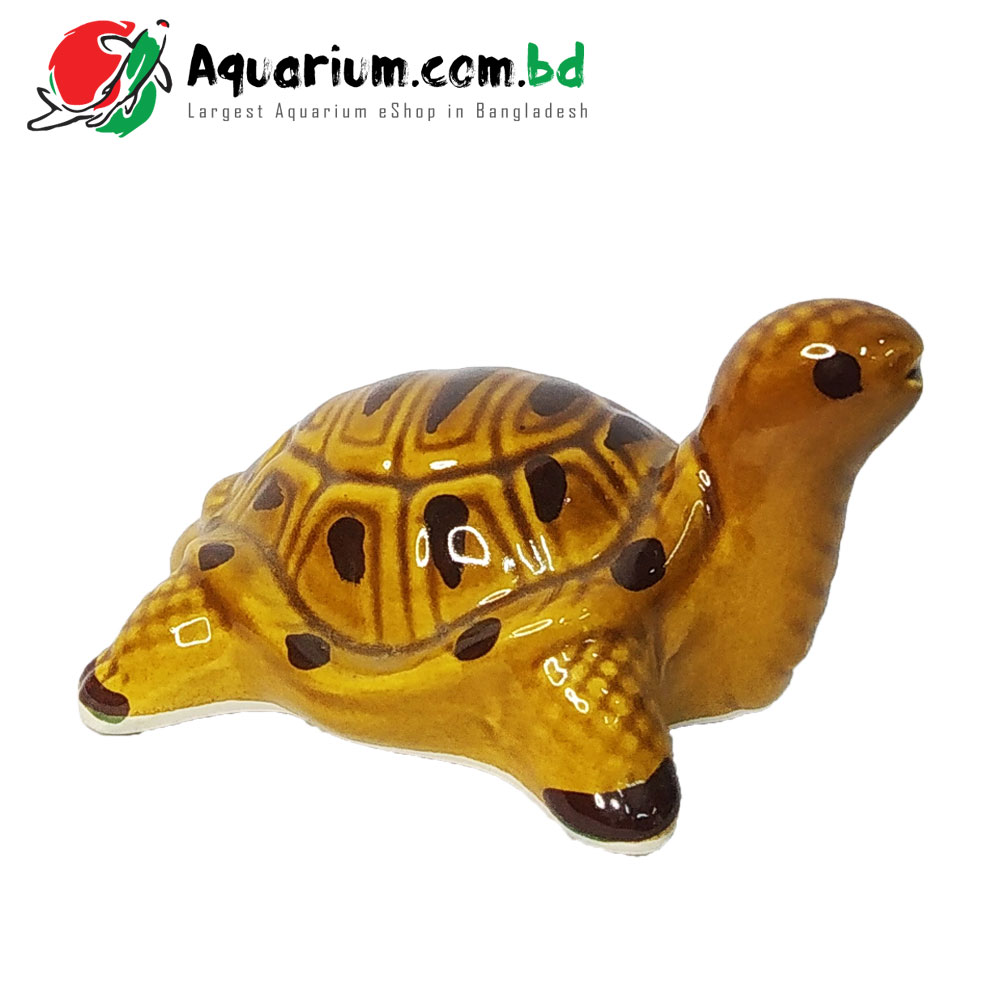 Artificial Turtle- Medium Size