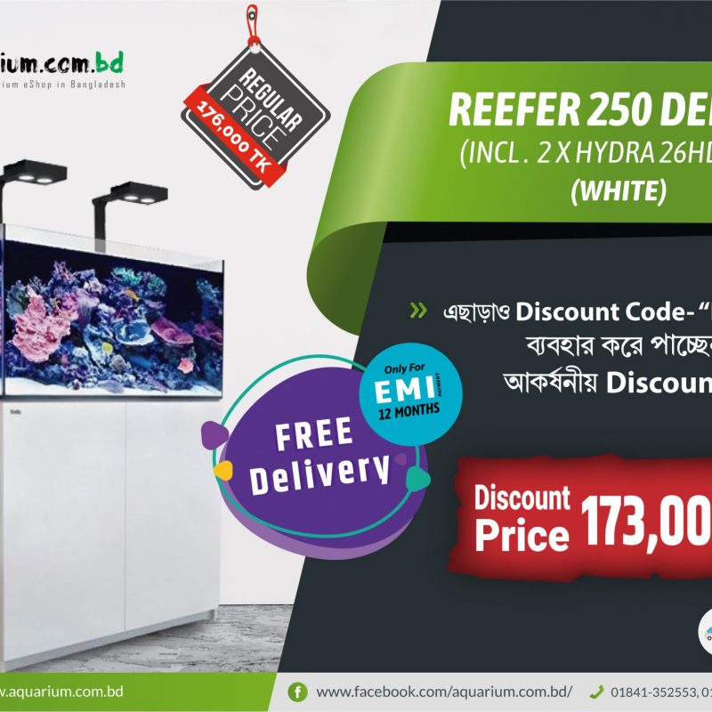 Reefer 250 Deluxe (incl. 2 X Hydra 26HD LED)-White