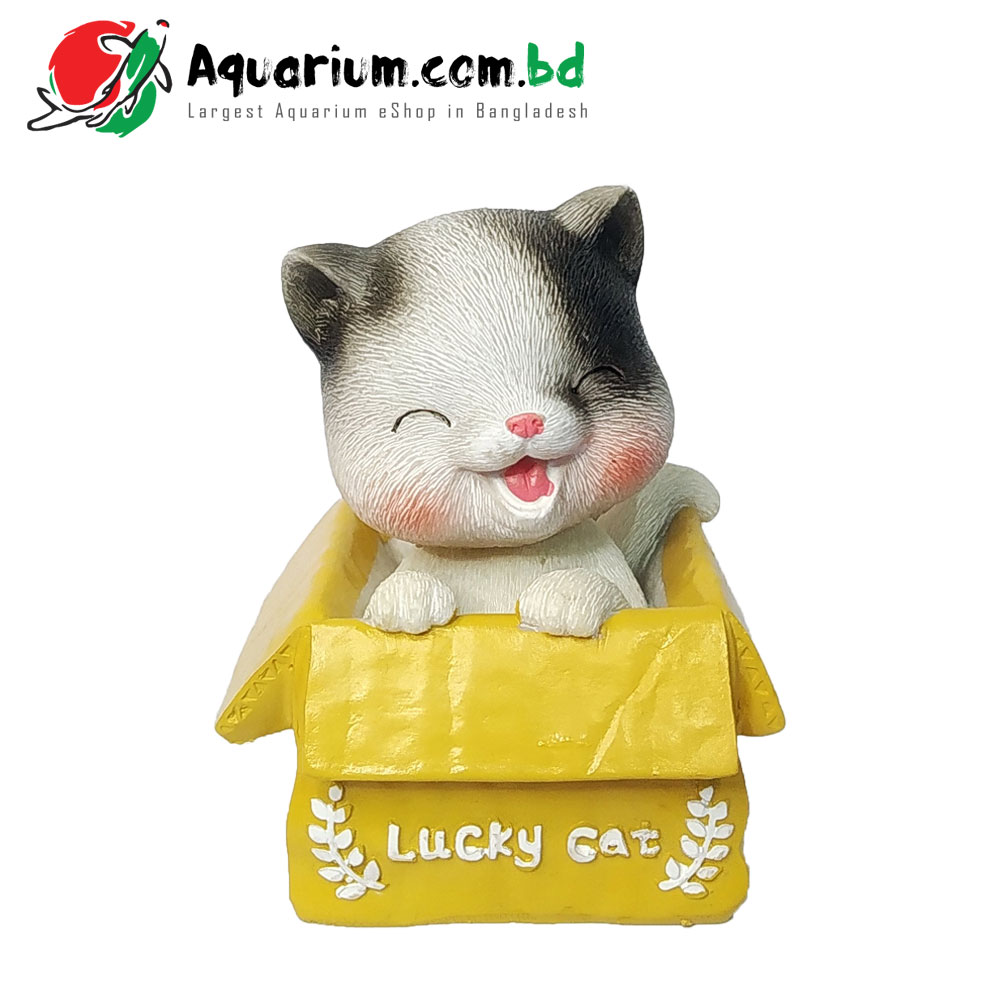 Head Shaking- Lucky Cat2