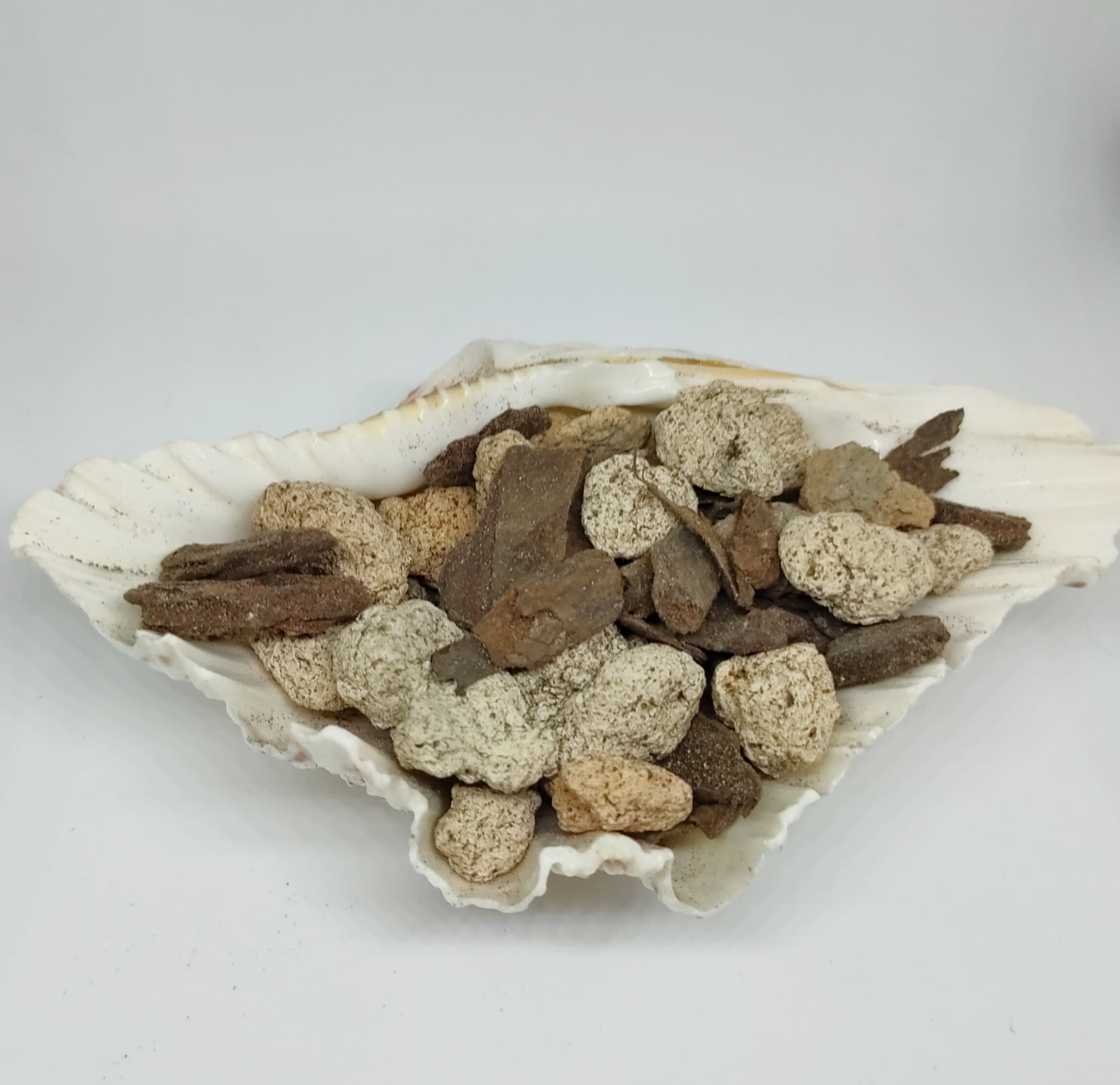 Lava Rock and pine Bark Orchid media (2 kg pack)