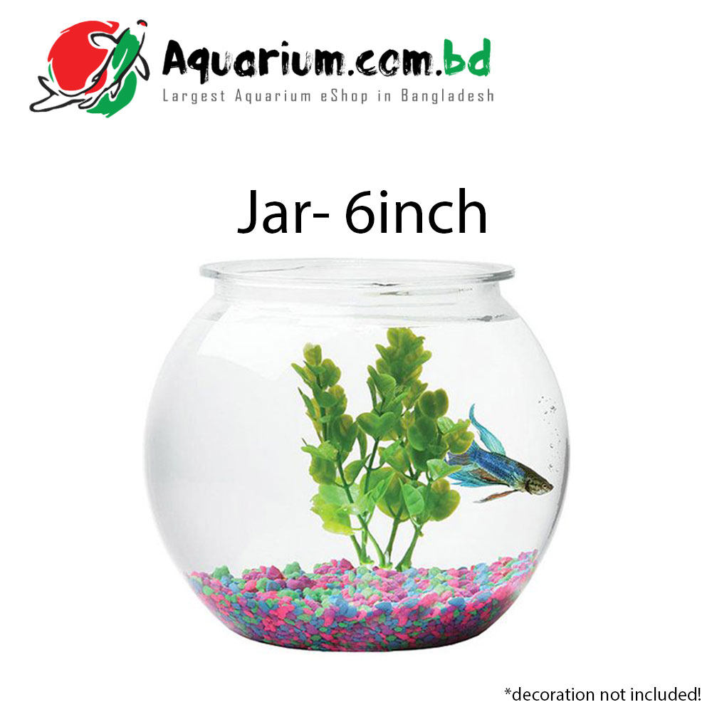 Jar- 6inch(locally made)