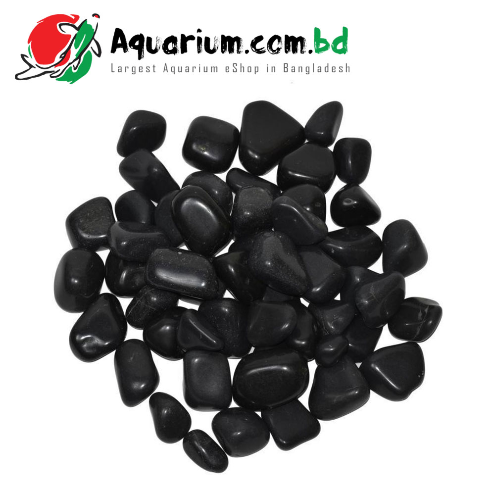 Polished Black Stone for Aquarium Decoration(1kg)
