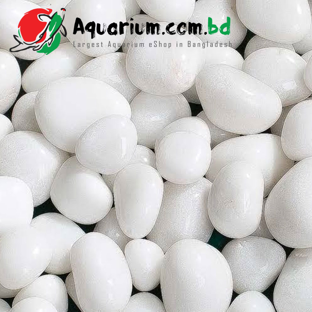 Polished White Stone for Aquarium Decoration(1kg)