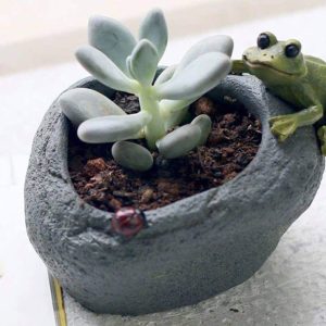 FROG & BUG RESIN POT CODE