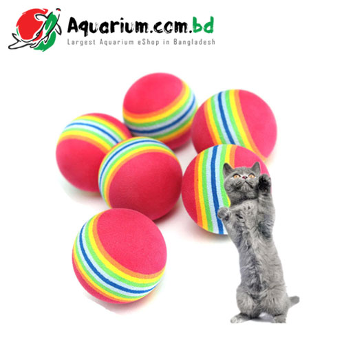 Rainbow Toy Ball for Cat