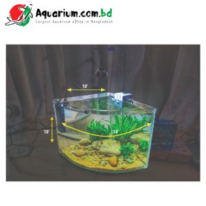 Round Triangle Shape Aquarium