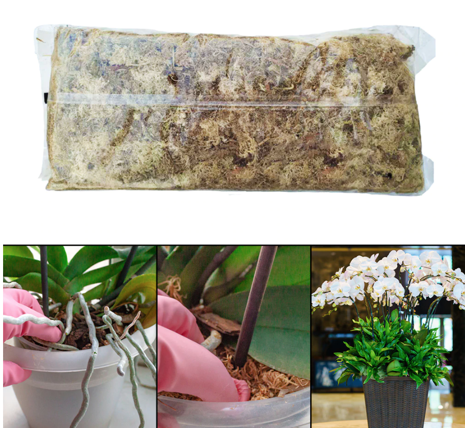 12L Sphagnum Moss Pack