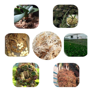 Sphagnum Moss Big Block (450 Gm)