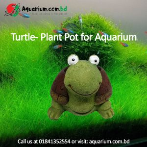 Turtle- Plant Pot for Aquarium