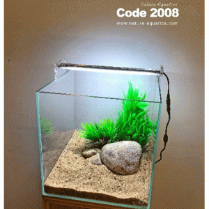 12 inch Cube Tank With Full setup