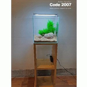 12 inch Cube Tank With Full setup & Stand