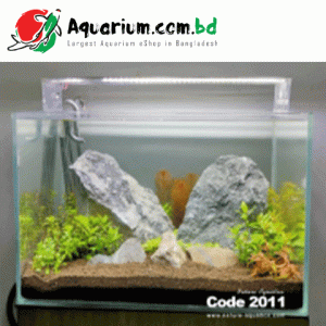 24*15*15 Crystal Glass Tank With Light & Stand (6mm)