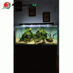 48*18*24 Crystal Glass Tank With Full setup & Stand ( 12mm)