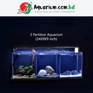 3 Partition Aquarium- 24x9x9 inch Regular 4mm Glass (Air Pump driven backs ump with LED Light)