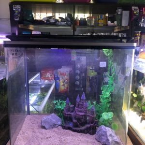 all in one aquarium