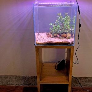 12 inch Cube Tank with Planted Setup & Light