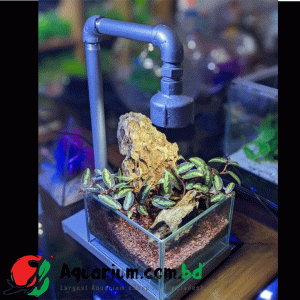 Terrarium/Jar Light