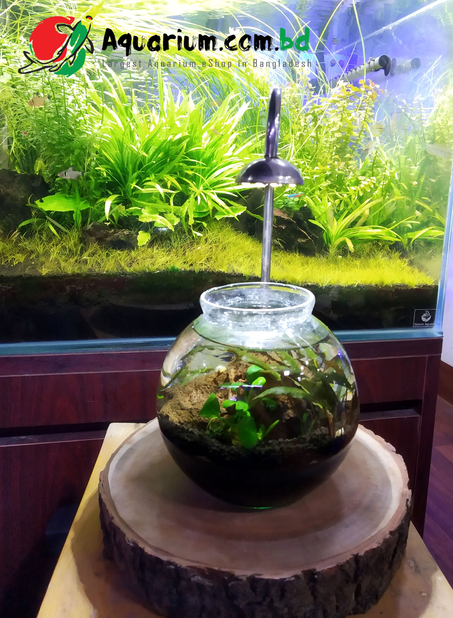 Jar with Custom Wooden Light Stand