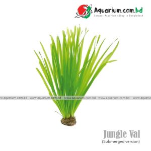 jungle val available in aquarium.com.bd