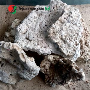 Dry Live Rock for Marine Aquarium(1kg)