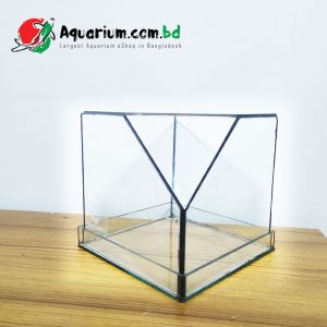 Terrarium Box- 6 inch