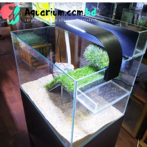 turtle tank