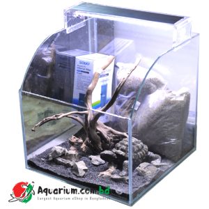 turtle aquarium in Bangladesh